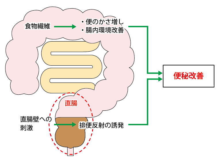 便はカラダからの重要なメッセージ 不調のサインをしっかり読み取ろう Ageless Life エイジレスライフ 推進情報室