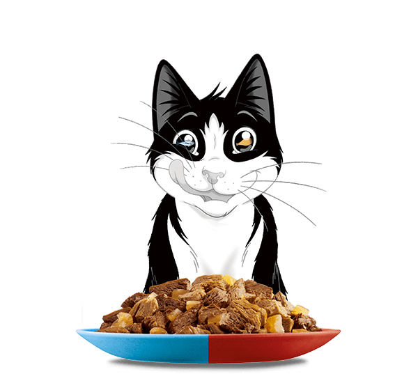 製品ラインアップ｜デキるネコさんに。PURINA フィリックス
