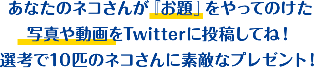 あなたのネコさんが『お題』をやってのけた写真や動画をTwitterに投稿してね！選考で10匹のネコさんに素敵なプレゼント！