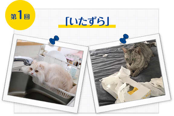 第1回「いたずら」