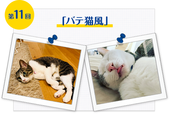 第11回「バテ猫風」