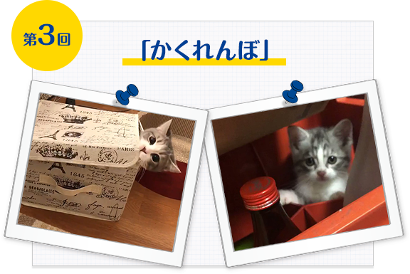 第3回「かくれんぼ」
