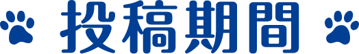 投稿期間