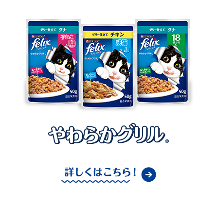 やわらかグリル