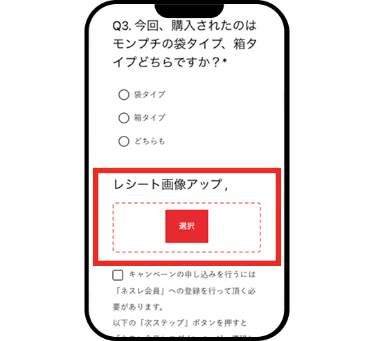 応募フォームに入力