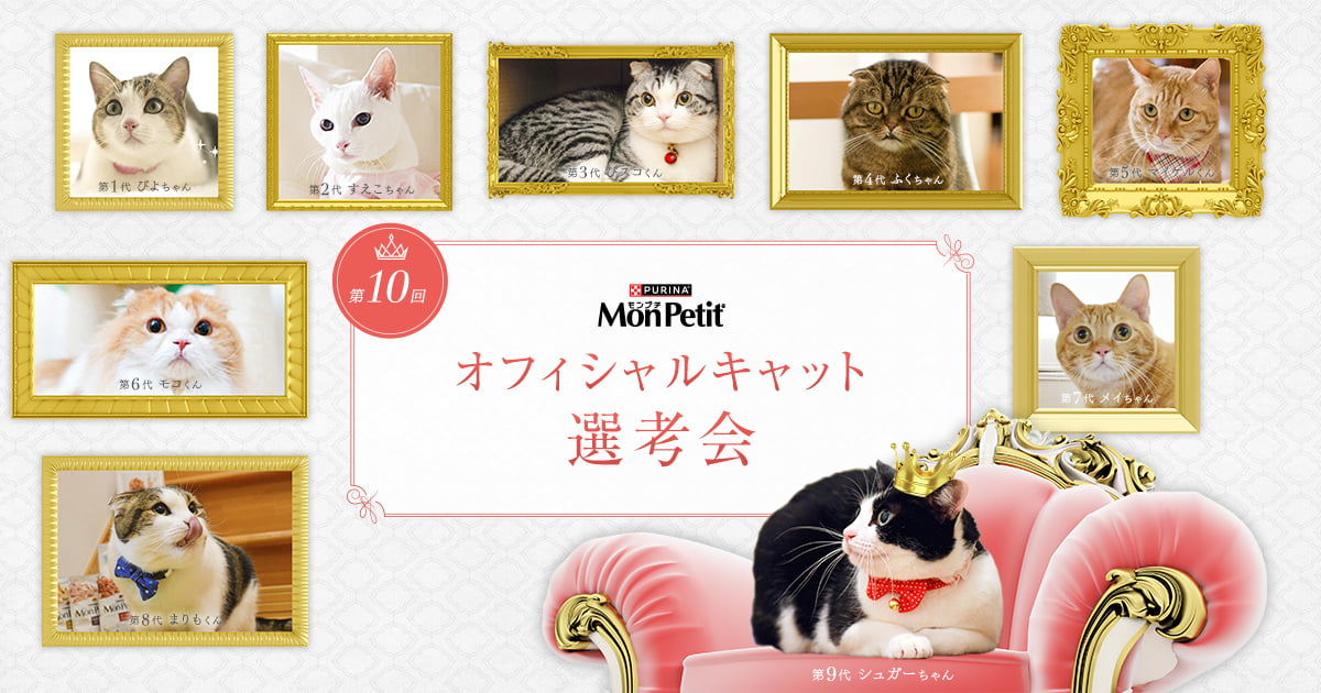 第10回「モンプチ オフィシャルキャット」選考会 | PURINA モンプチ