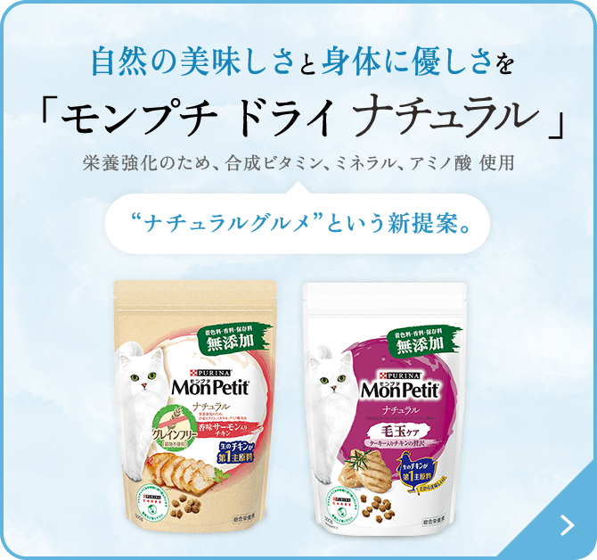 超ポイント祭?期間限定】 6袋 おやつ モンプチ 10g×24本 まぐろ入りまぐろ
