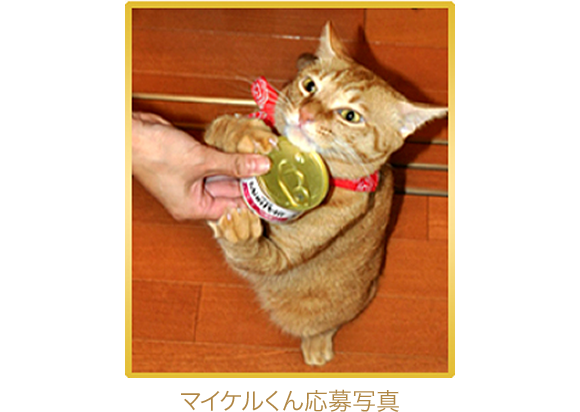 モンプチ☆猫ちゃんご飯^_^☆お値下げ中❣️ モンプチCM 「選べるしあわせ」篇 - YouTube