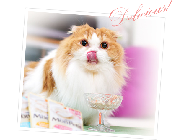第6代「モンプチ オフィシャルキャット」 | PURINA モンプチ