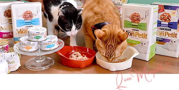 【スーパーセール】 第9代「モンプチ オフィシャルキャット」 | PURINA モンプチ キャットフード