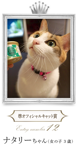 KittyNAVI レア！