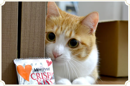 モンプチ☆猫ちゃんご飯^_^☆お値下げ中❣️ Amazon.co.jp: モンプチ プチグルメ パウチ お肉バラエティ