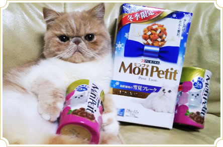 エスパス モンプチ公認 オフィシャルキャット | PURINA モンプチ