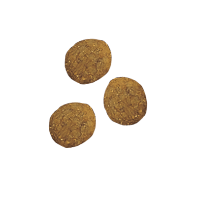 健康マルチケア 腎臓・消化吸収・脳 15歳以上｜ピュリナ ワン キャット