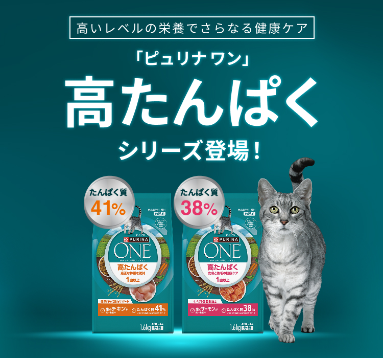 ピュリナワン猫 美味を求める成猫用 サーモン＆ツナ 3kg 4袋 Purina