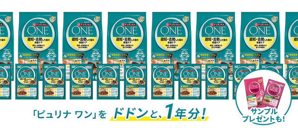 course02