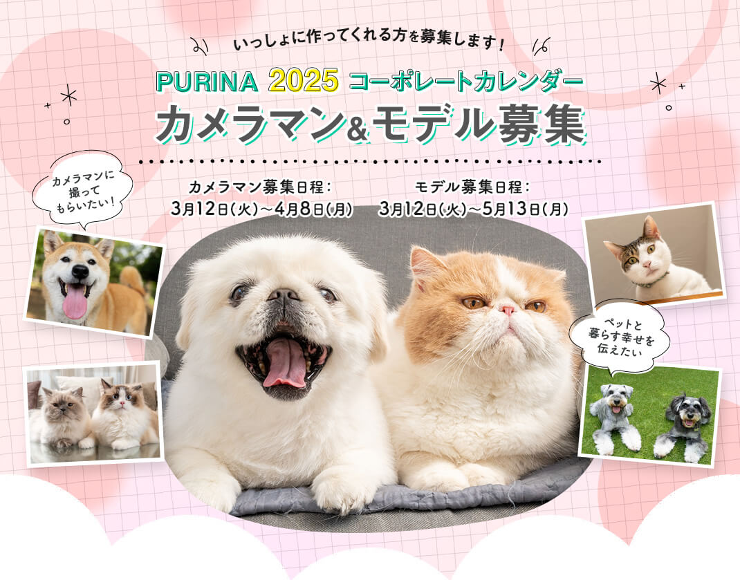 PURINA 2025 コーポレートカレンダー カメラマン&モデル募集！ ピュリナ Purina