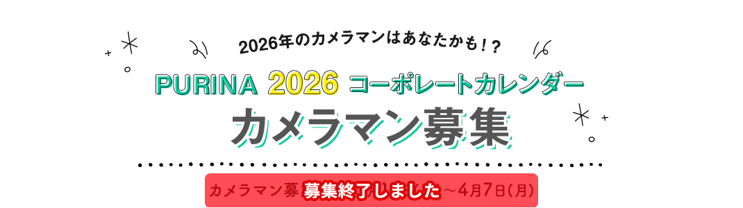 PURINA 2026 コーポレートカレンダー カメラマン募集