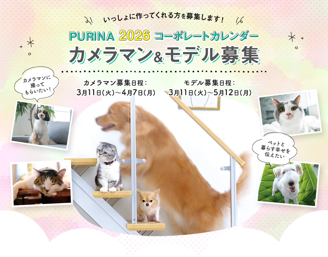 PURINA 2026 コーポレートカレンダー カメラマン&モデル募集！