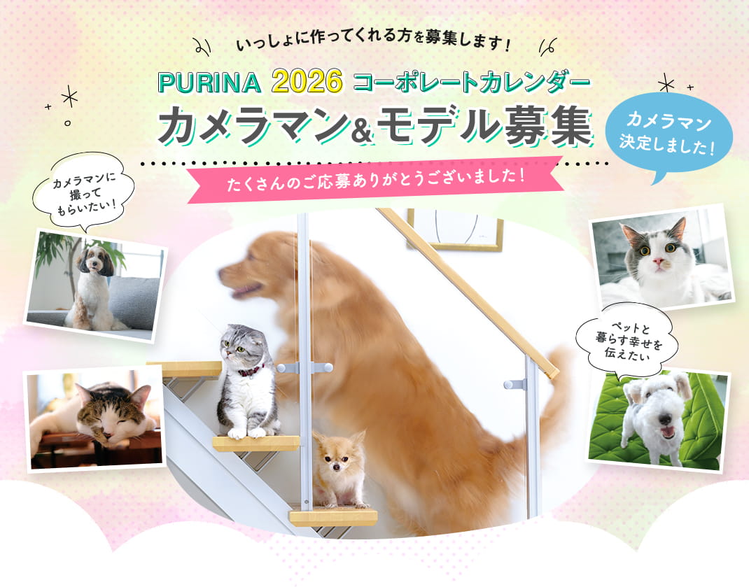 PURINA 2026 コーポレートカレンダー カメラマン&モデル募集！