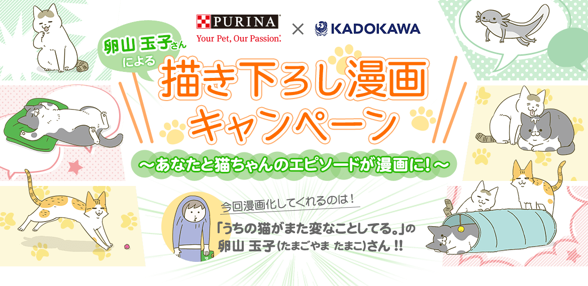 PURINA×KADOKAWA コラボ企画 卵山玉子さんによる描き下ろし漫画キャンペーン ～あなたと猫ちゃんのエピソードが漫画に！～　漫画化してくれるのは「うちの猫がまた変なことしてる。」の卵山玉子さん！！