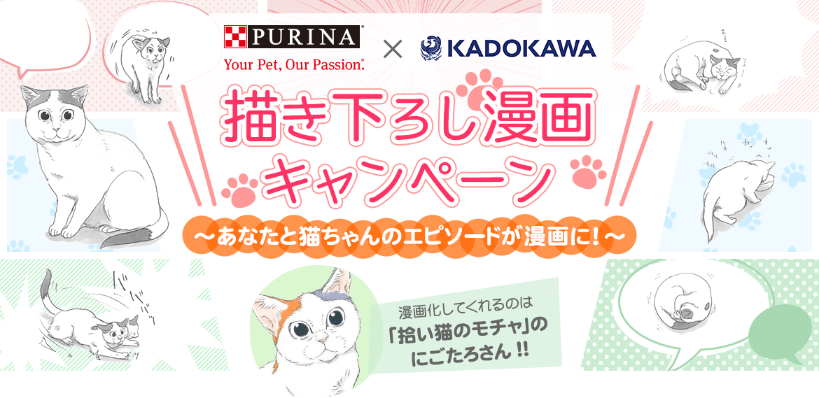 PURINA×KADOKAWA コラボ企画 描き下ろし漫画キャンペーン ～あなたと猫ちゃんのエピソードが漫画に！～　漫画化してくれるのは「拾い猫のモチャ」のにごたろさん！！