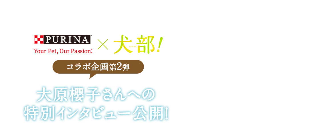 PURINA × 犬部！　コラボ企画第2弾 大原櫻子さんへの特別インタビュー公開！