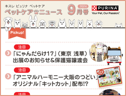2024年 9月号