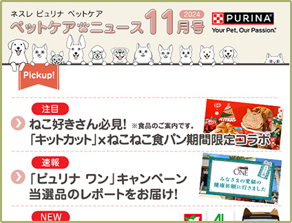 2024年 11月号