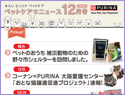 2024年 12月号