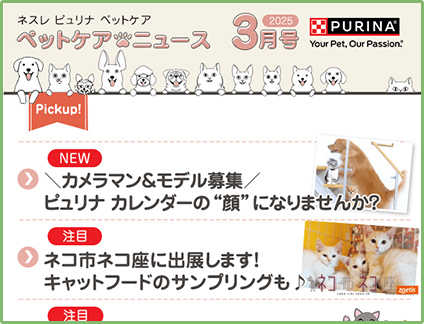 2024年 3月号