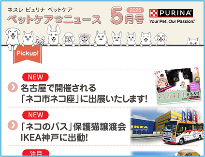 2025年 5月号