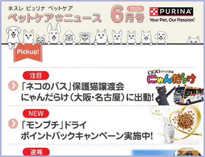 2025年 6月号