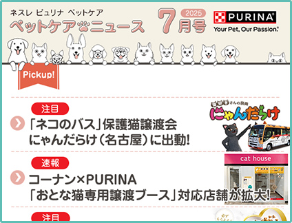 2025年 7月号