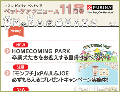 2025年 11月号