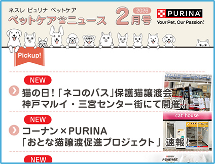 2026年 2月号