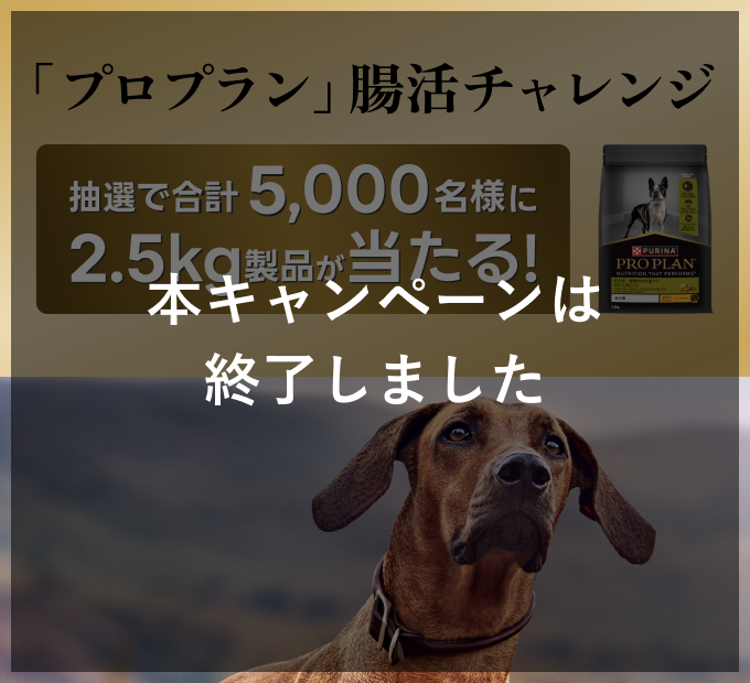 「プロプラン」腸活チャレンジ 本キャンペーンは終了しました