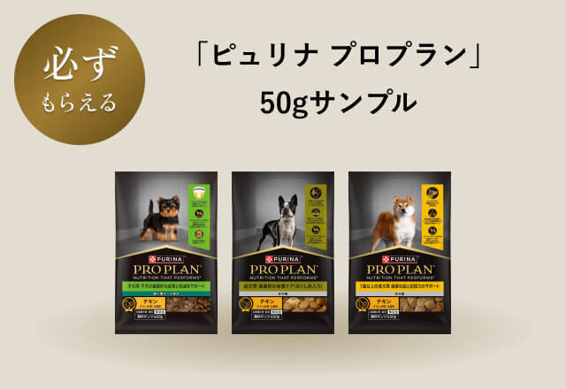 【必ずもらえる】「ピュリナ プロプラン」 50gサンプル