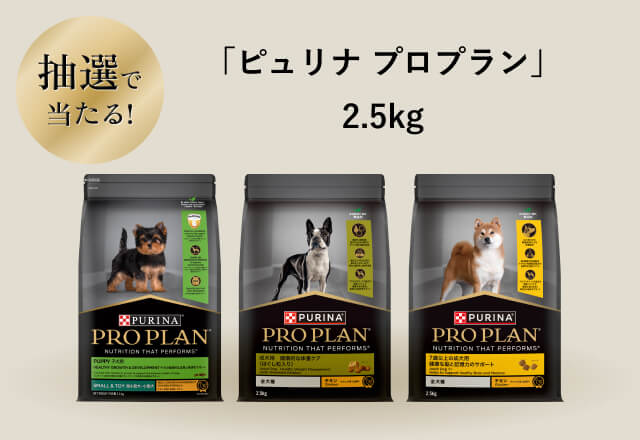 【抽選で当たる！】「ピュリナ プロプラン」 2.5kg