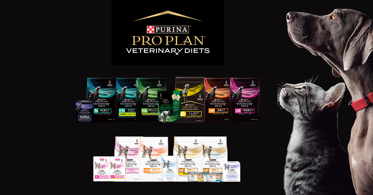 認知機能不全症候群セルフチェック | ネスレ日本 製品情報サイト