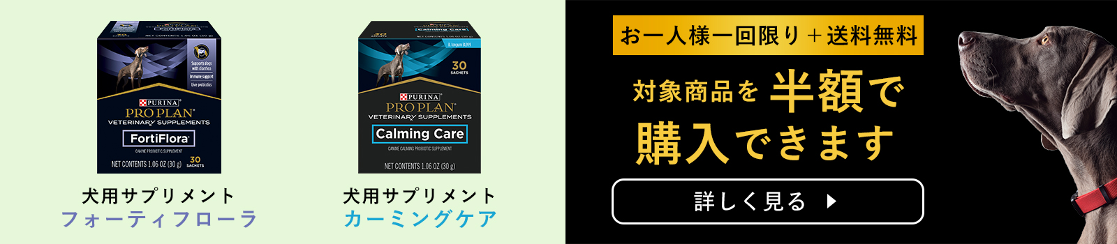 バナー：ドッグフード 対象商品を半額で購入できます